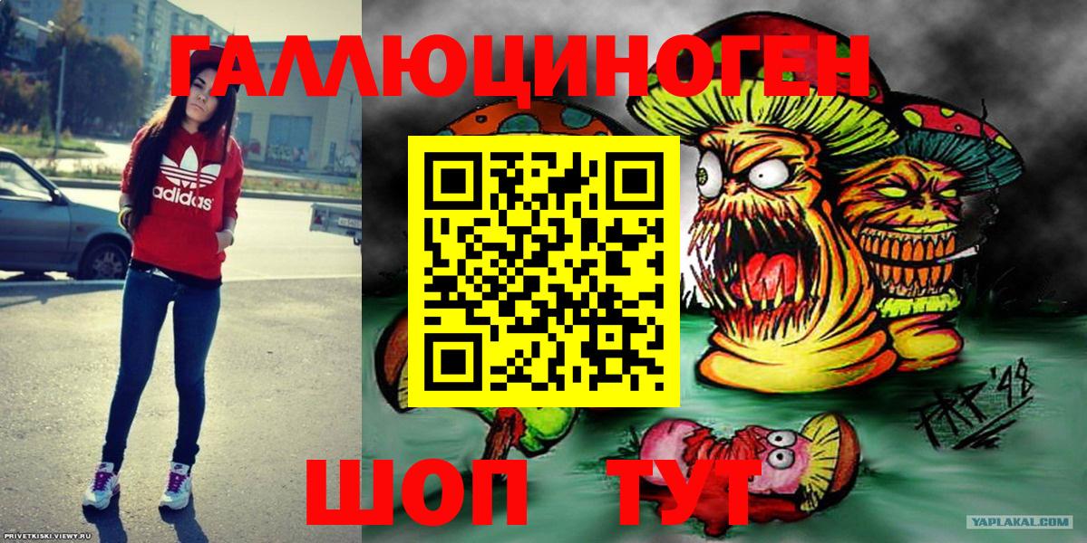 Галлюциногенные грибы Psilocybe Сызрань