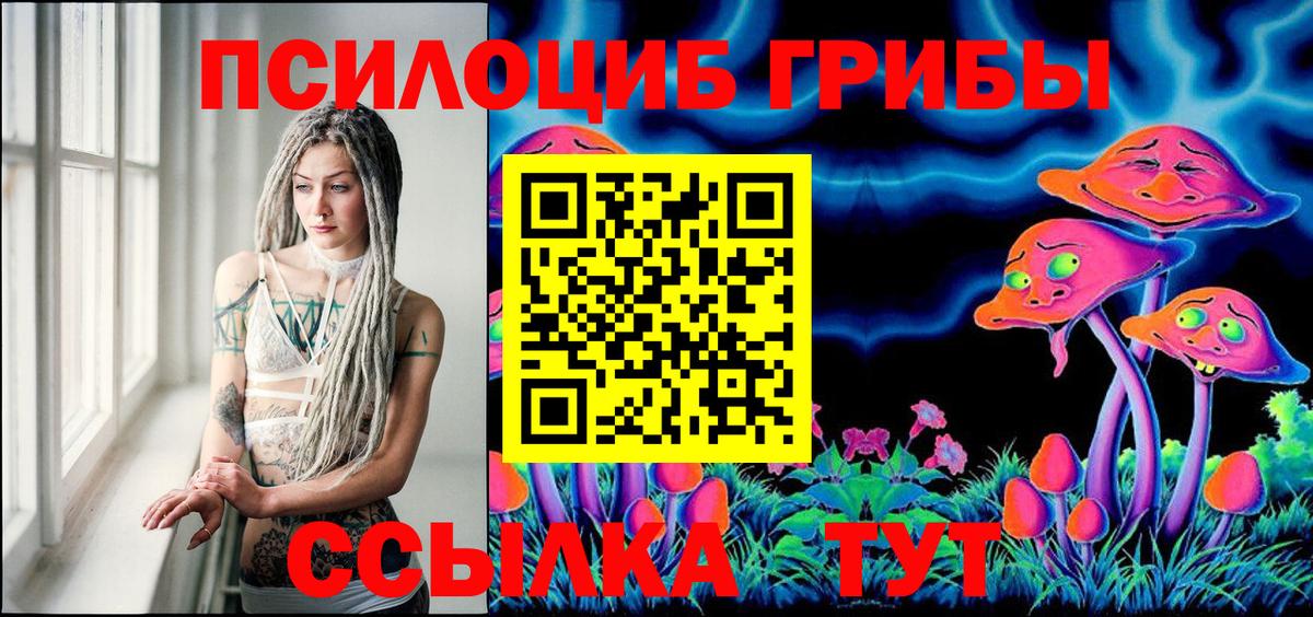 Сызрань  Псилоцибиновые грибы Psilocybine cubensis  где купить   Вход с VPN 